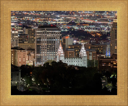 Salt Lake Temple City View