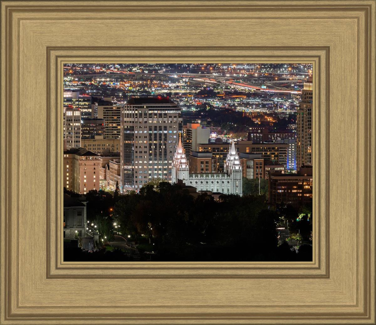 Salt Lake Temple City View