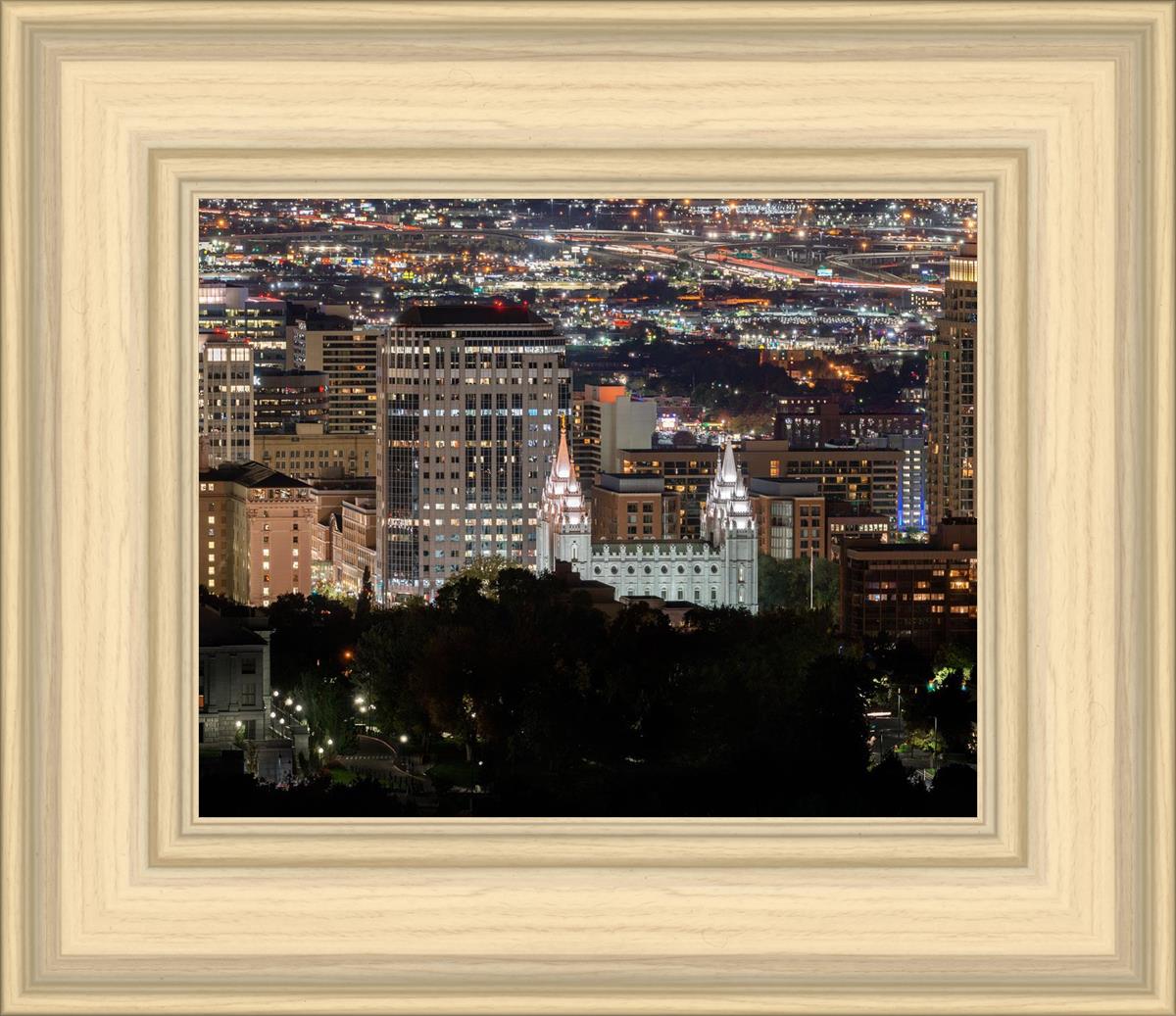 Salt Lake Temple City View