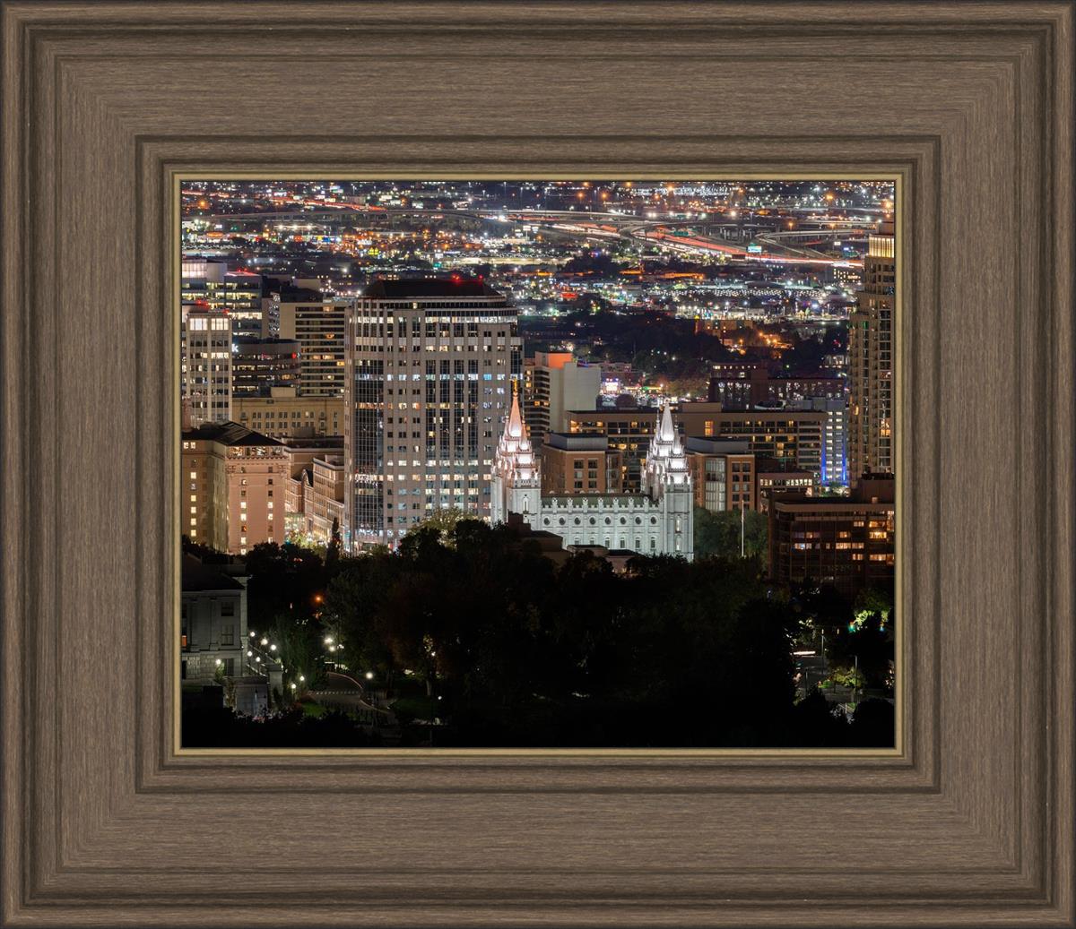 Salt Lake Temple City View