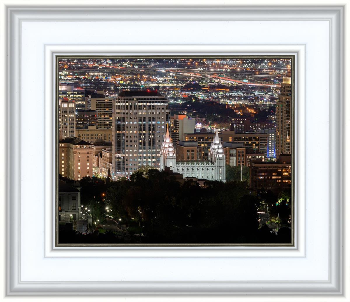 Salt Lake Temple City View