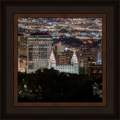 Salt Lake Temple City View