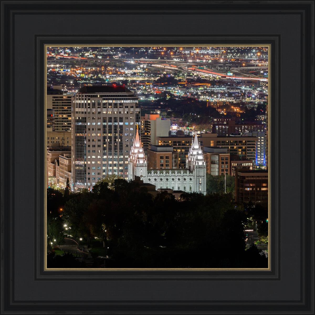 Salt Lake Temple City View