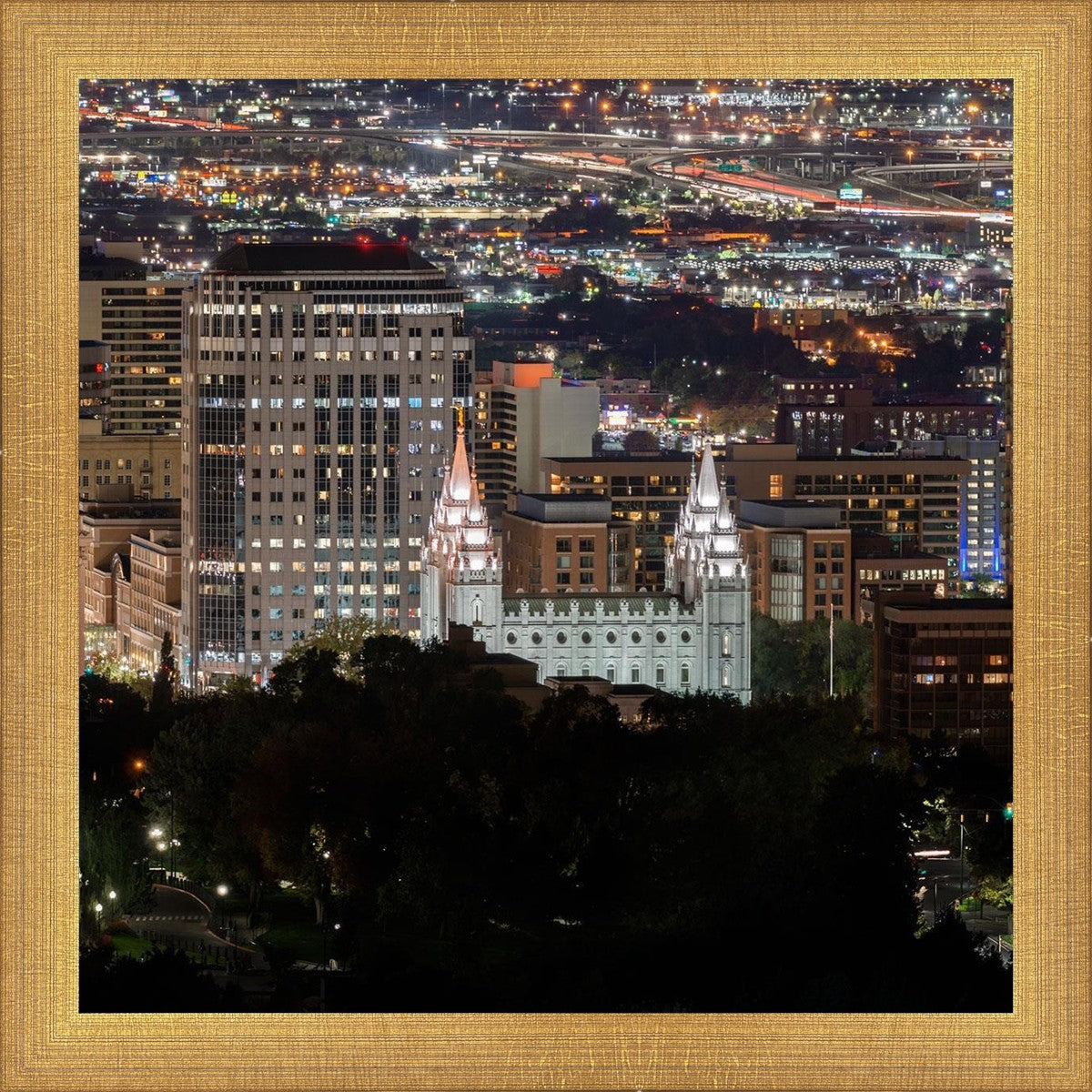 Salt Lake Temple City View