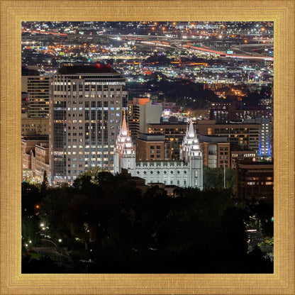 Salt Lake Temple City View