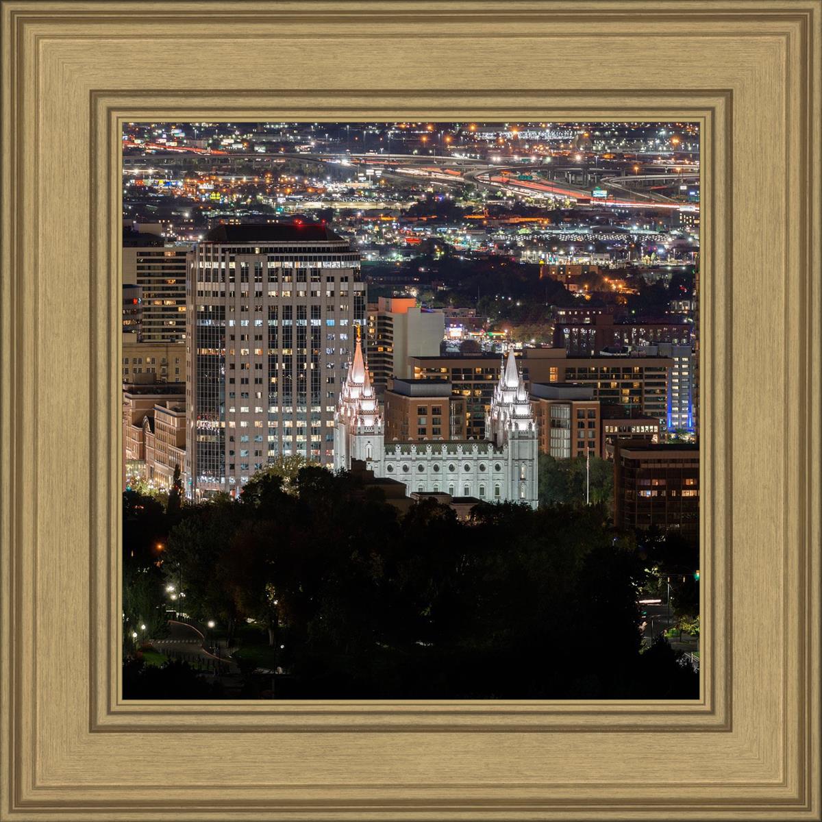 Salt Lake Temple City View