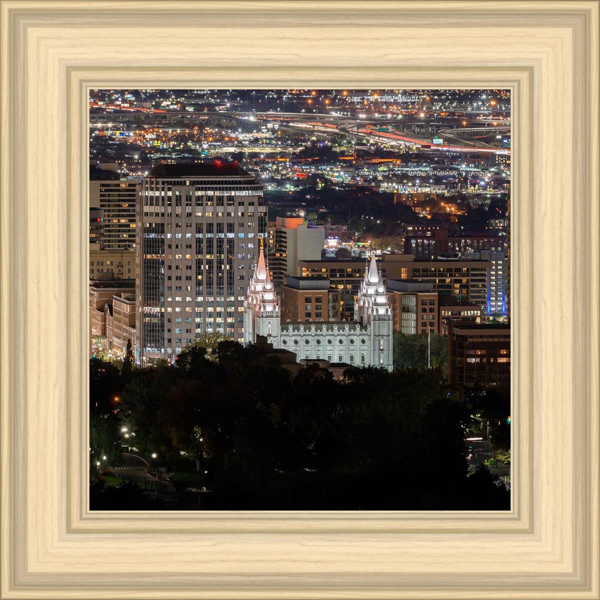 Salt Lake Temple City View