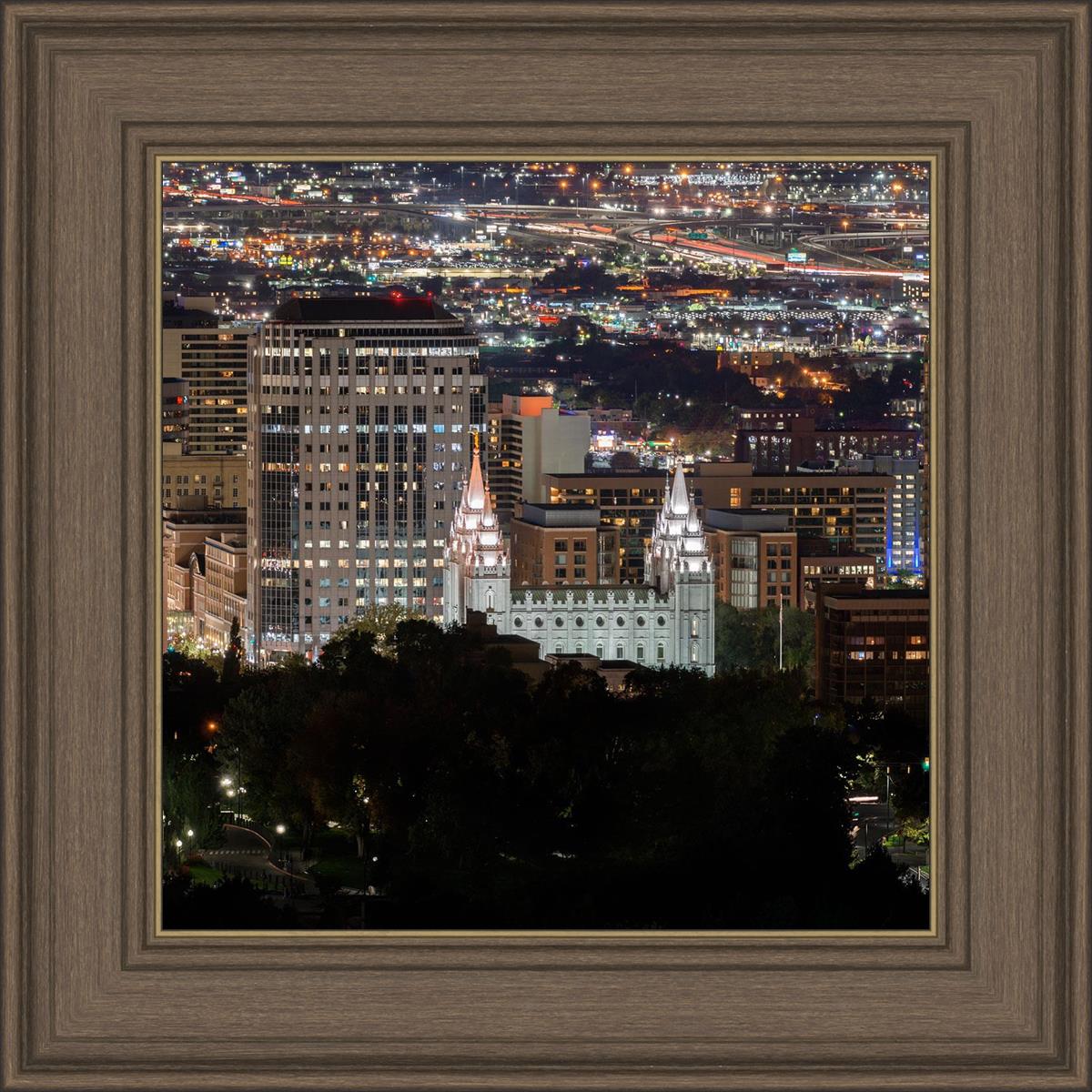 Salt Lake Temple City View