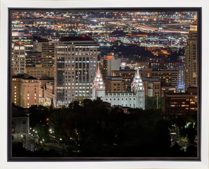 Salt Lake Temple City View