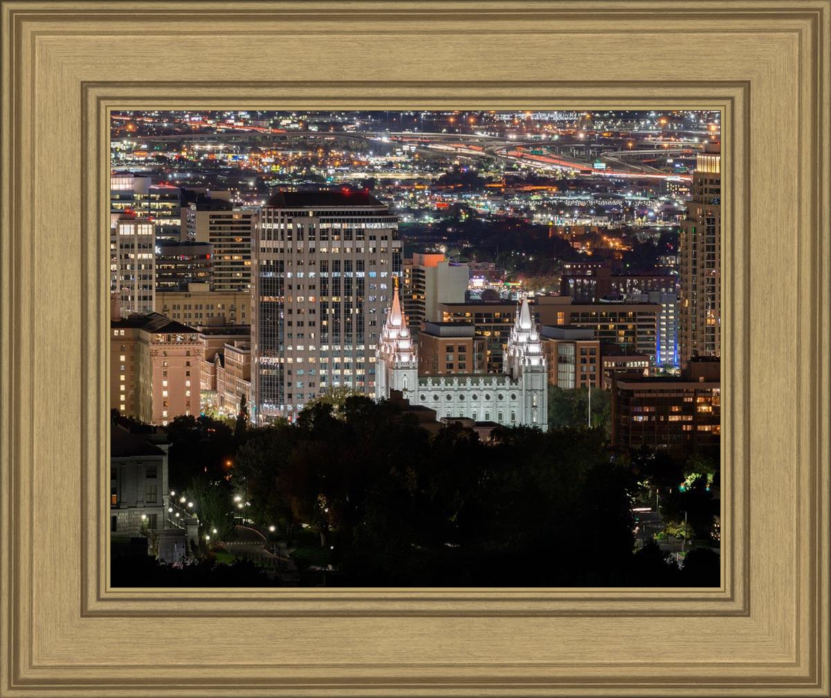 Salt Lake Temple City View