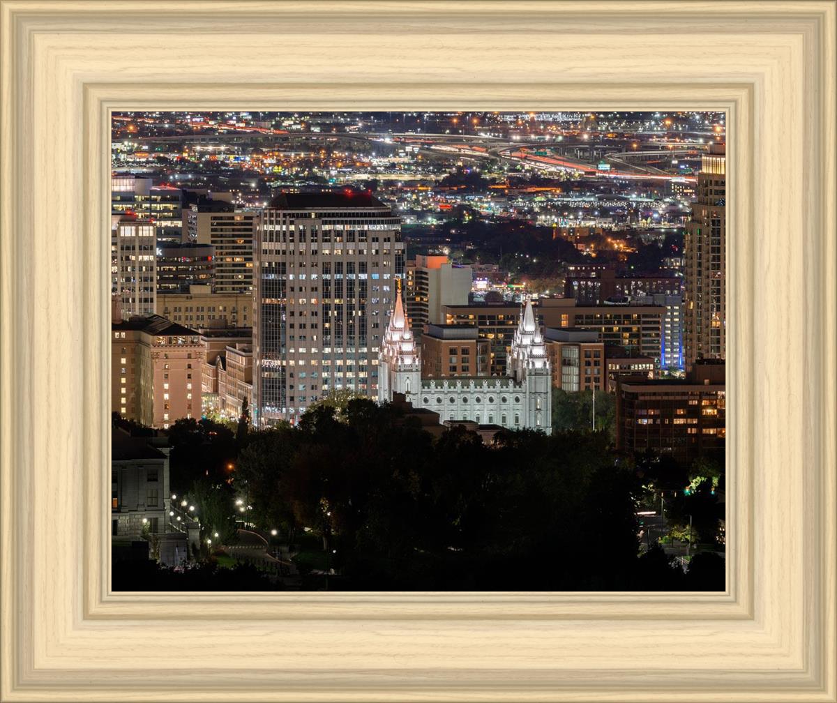 Salt Lake Temple City View