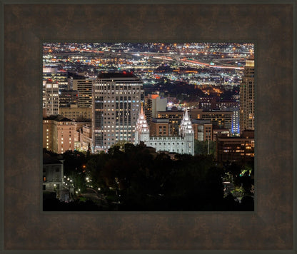 Salt Lake Temple City View