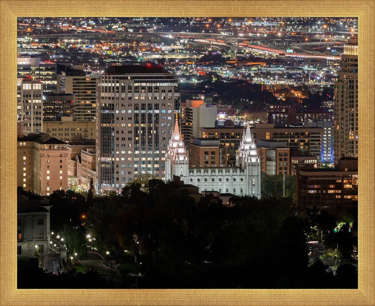 Salt Lake Temple City View
