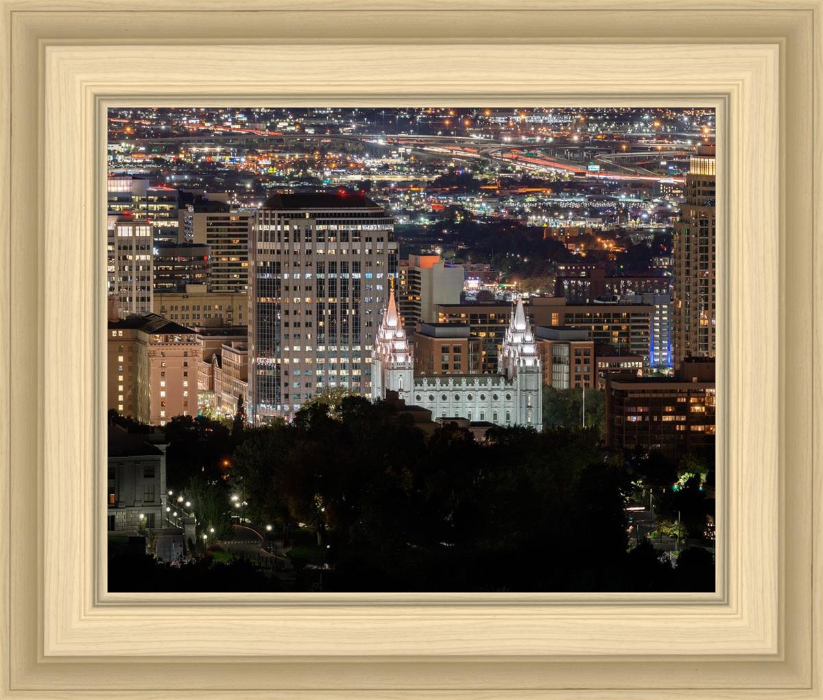 Salt Lake Temple City View