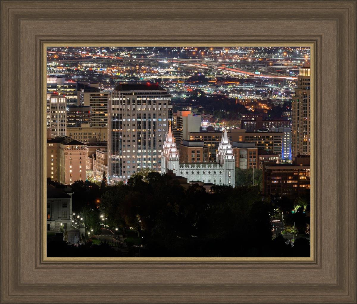 Salt Lake Temple City View