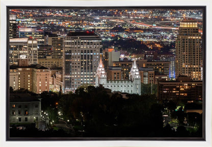 Salt Lake Temple City View