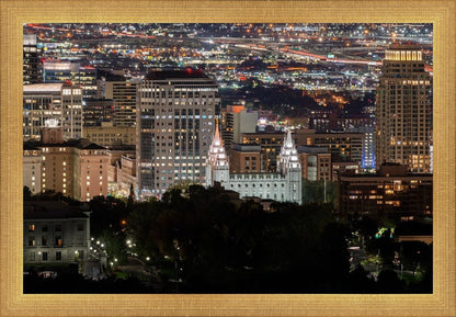 Salt Lake Temple City View