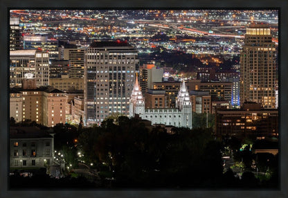 Salt Lake Temple City View