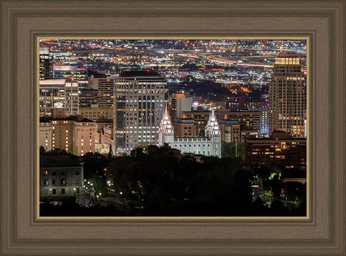 Salt Lake Temple City View