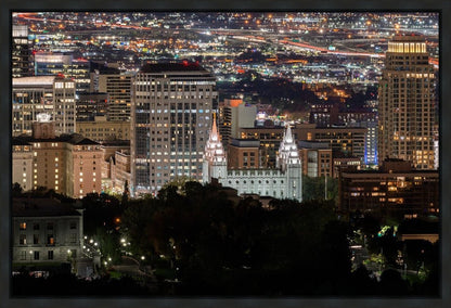 Salt Lake Temple City View