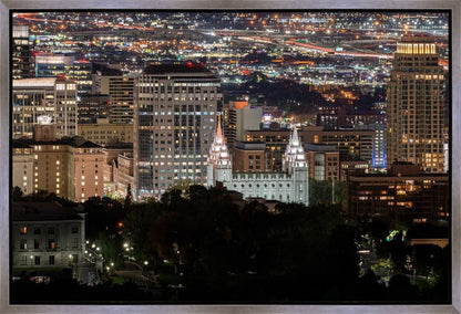Salt Lake Temple City View