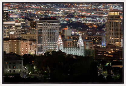Salt Lake Temple City View