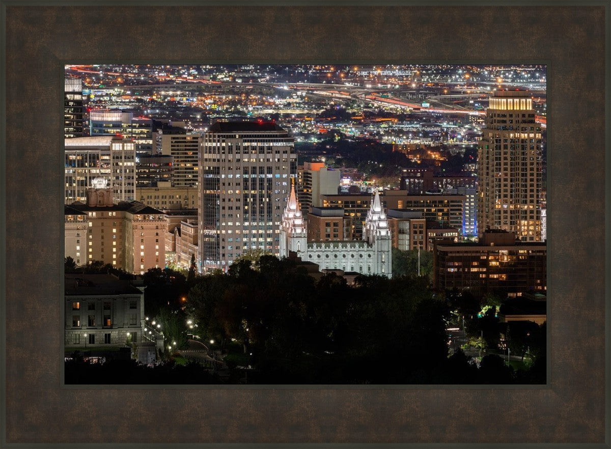 Salt Lake Temple City View