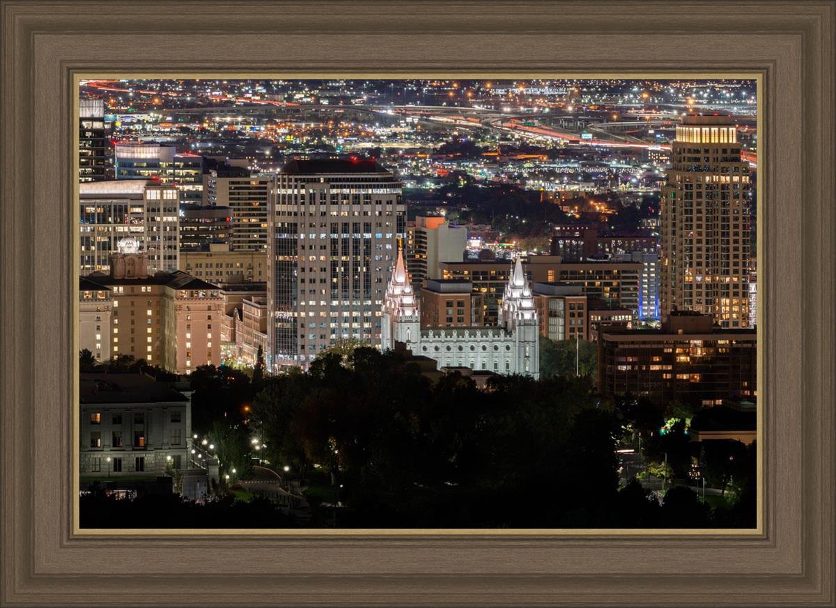 Salt Lake Temple City View