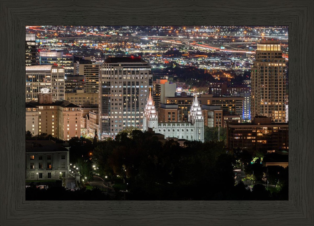 Salt Lake Temple City View