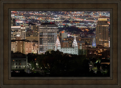 Salt Lake Temple City View