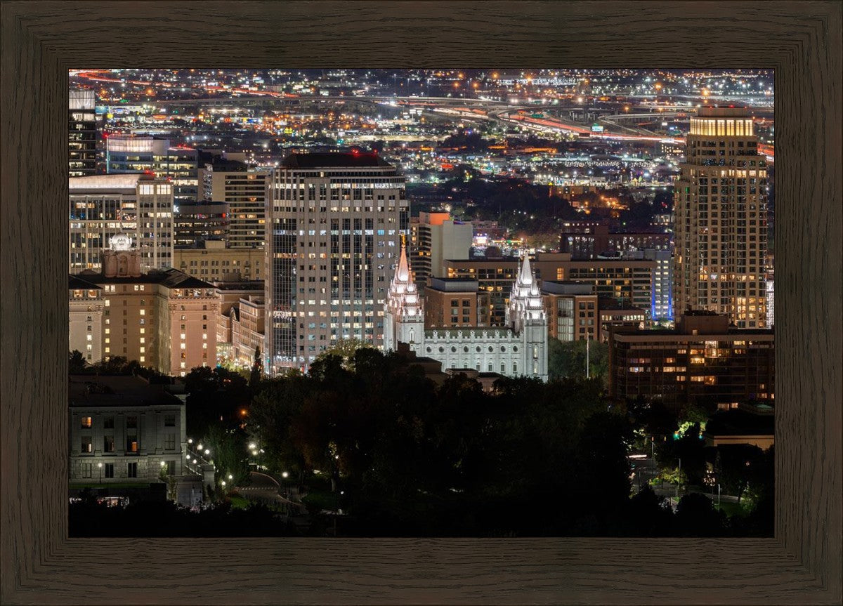 Salt Lake Temple City View
