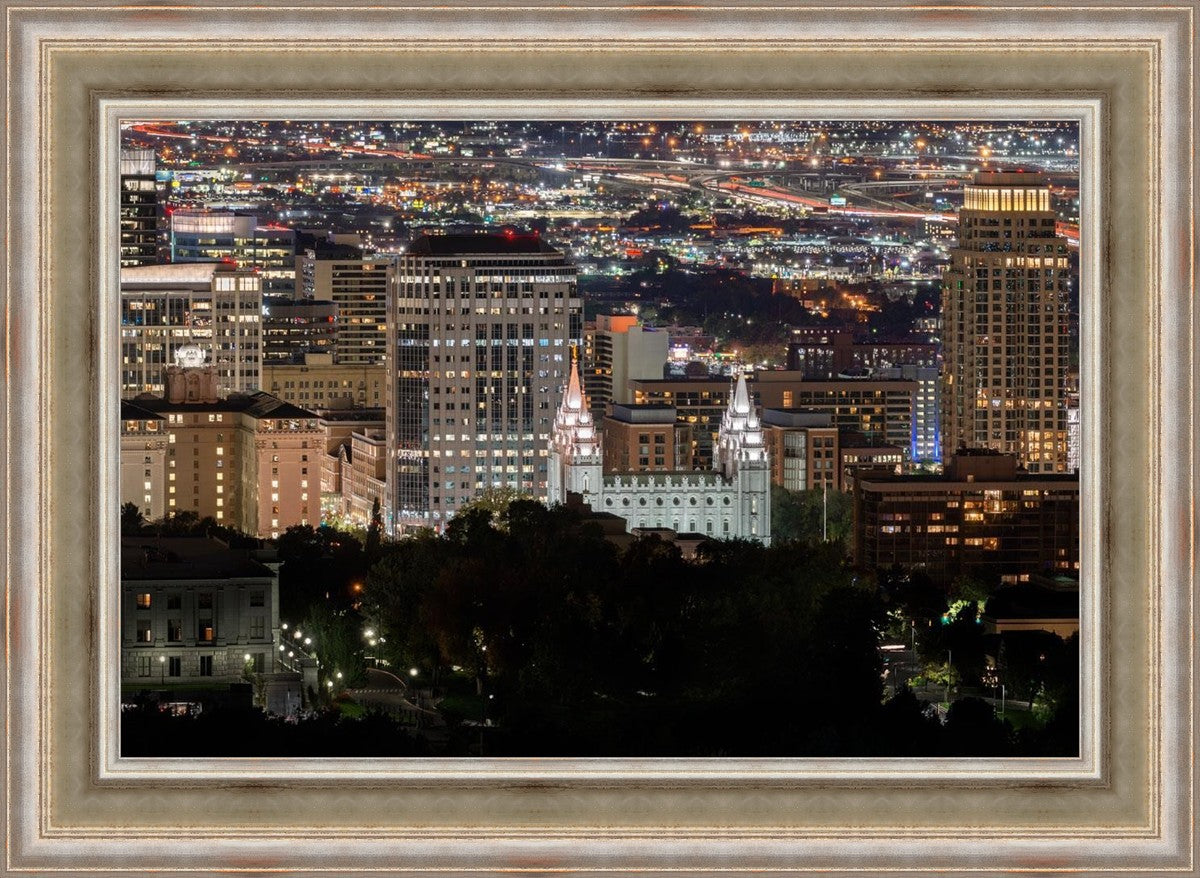 Salt Lake Temple City View