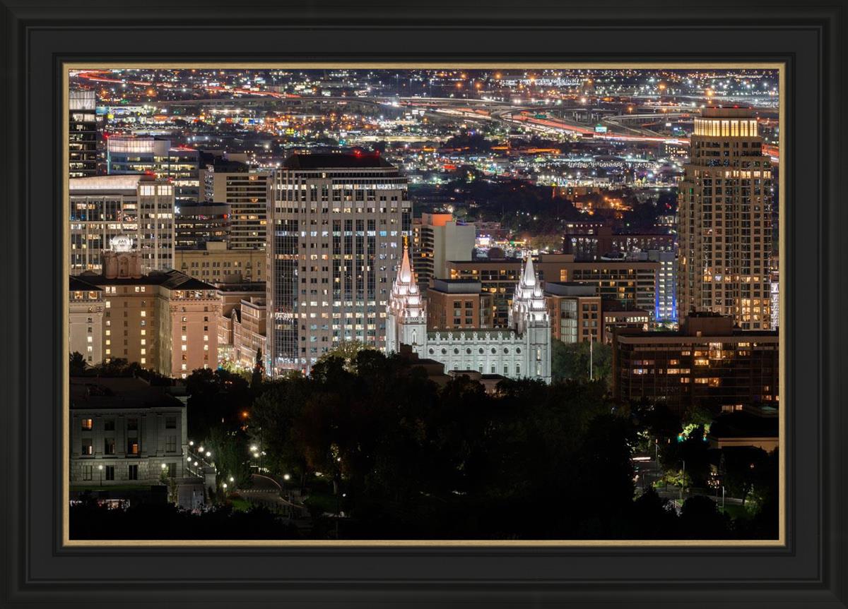 Salt Lake Temple City View