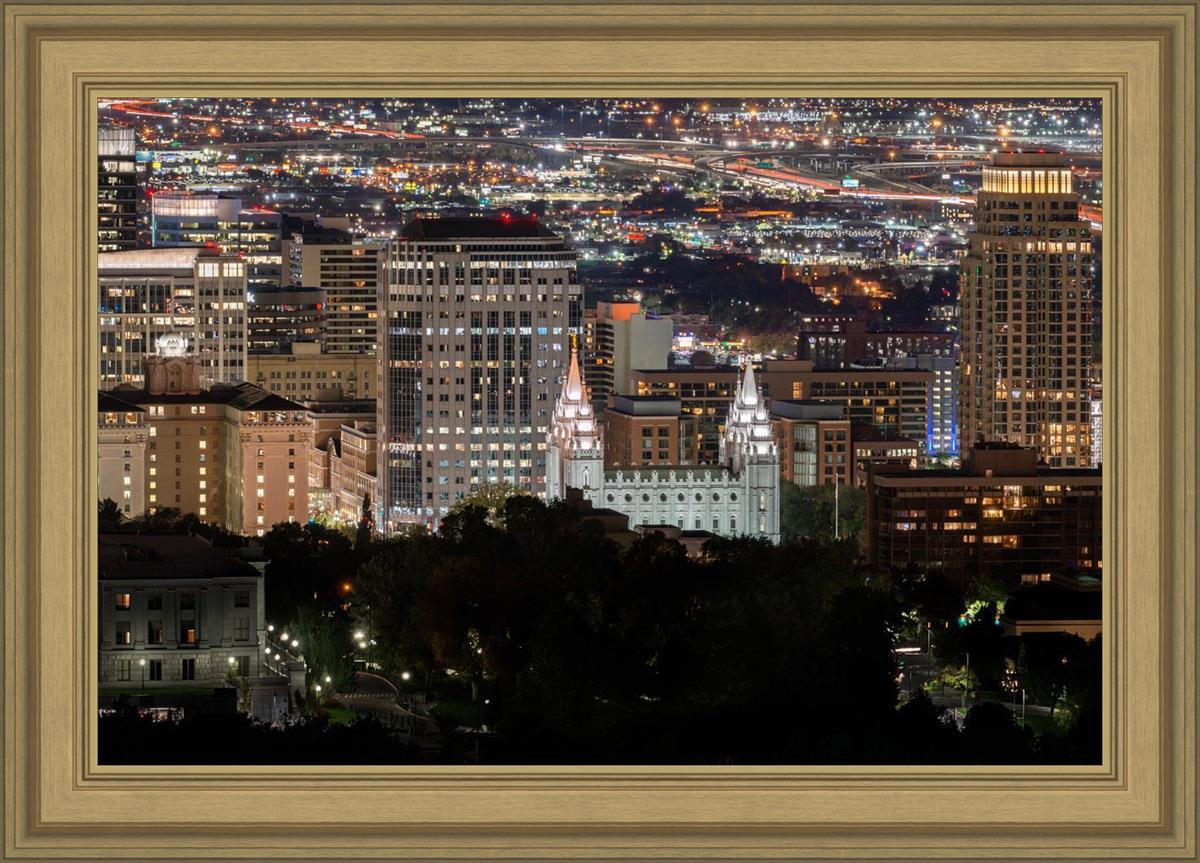 Salt Lake Temple City View