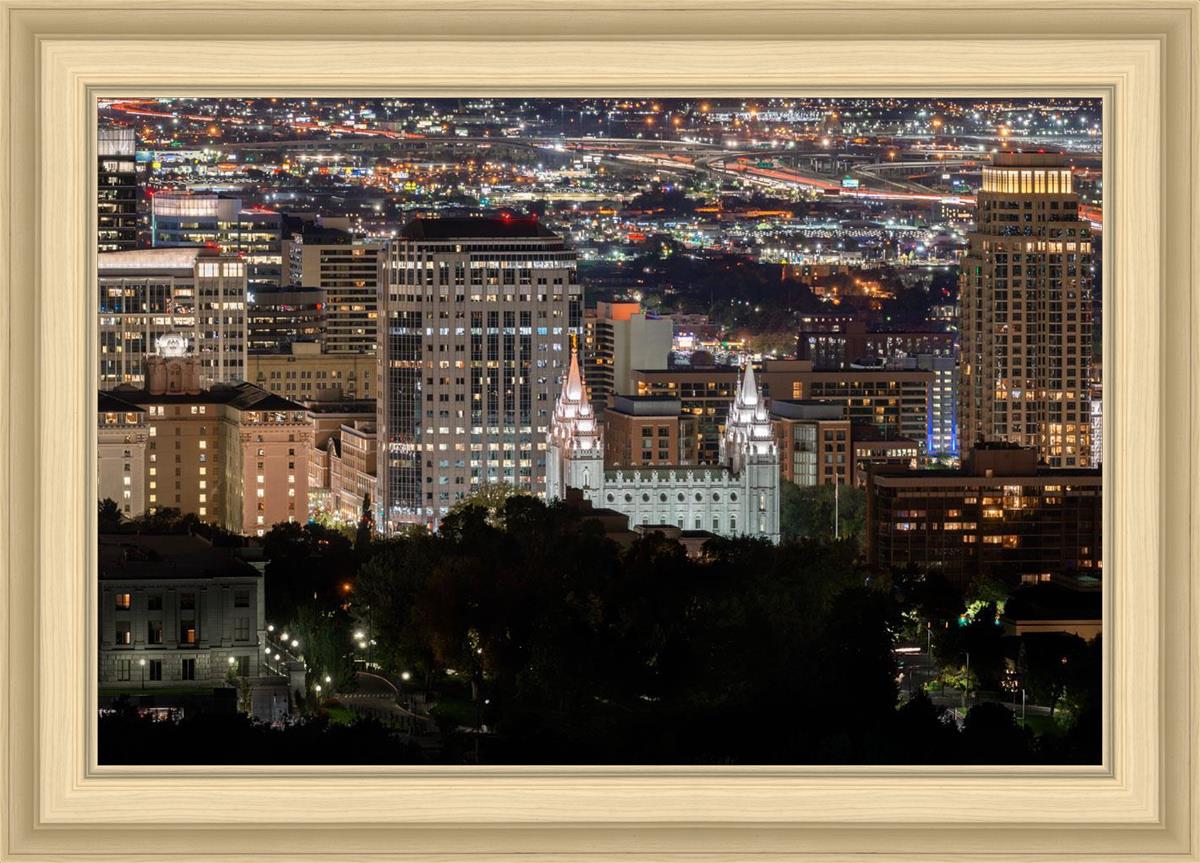 Salt Lake Temple City View