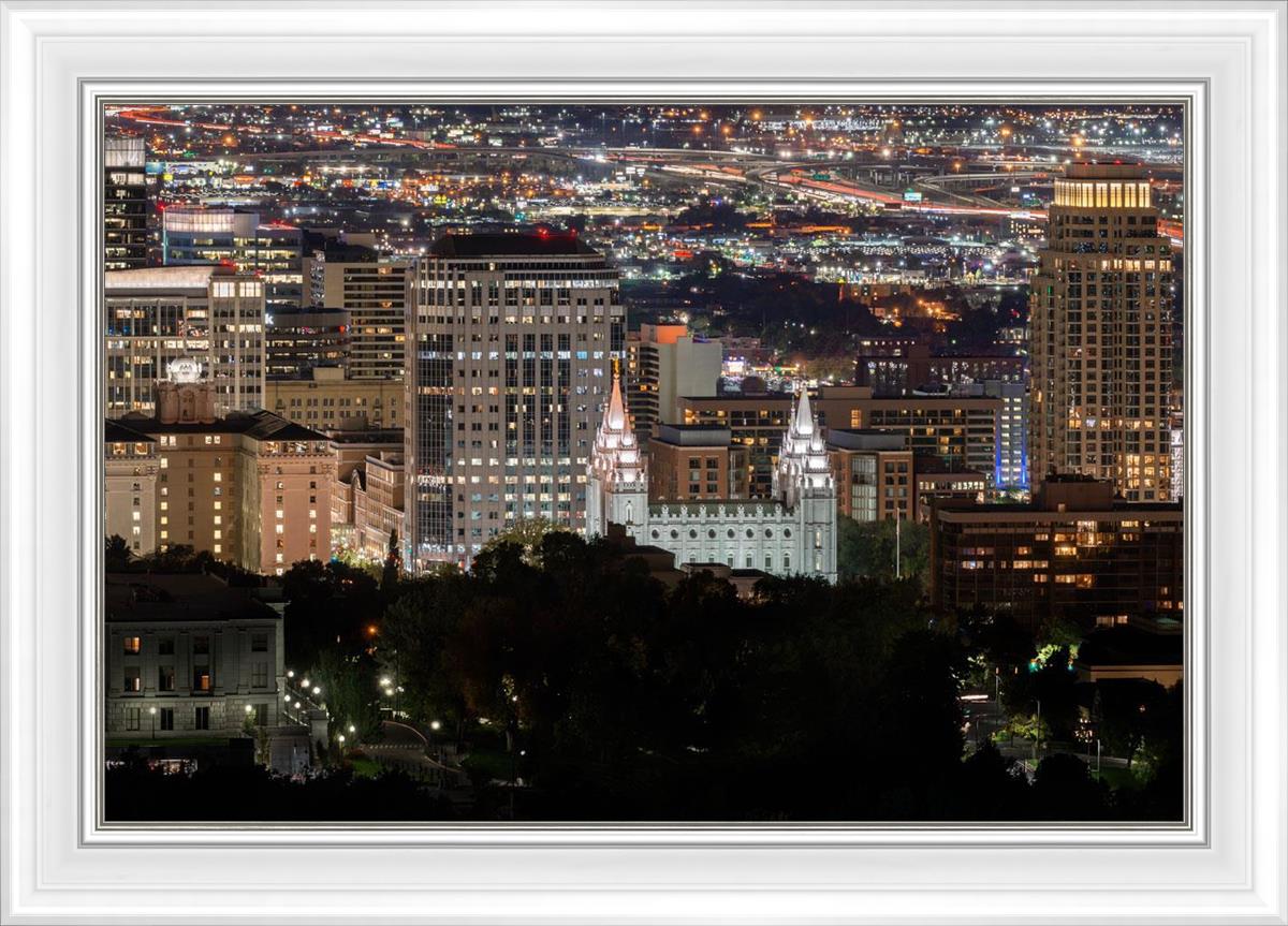 Salt Lake Temple City View