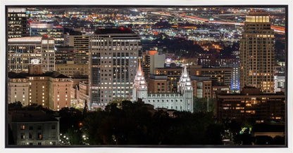 Salt Lake Temple City View