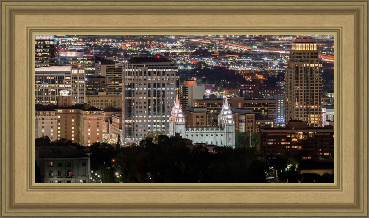 Salt Lake Temple City View