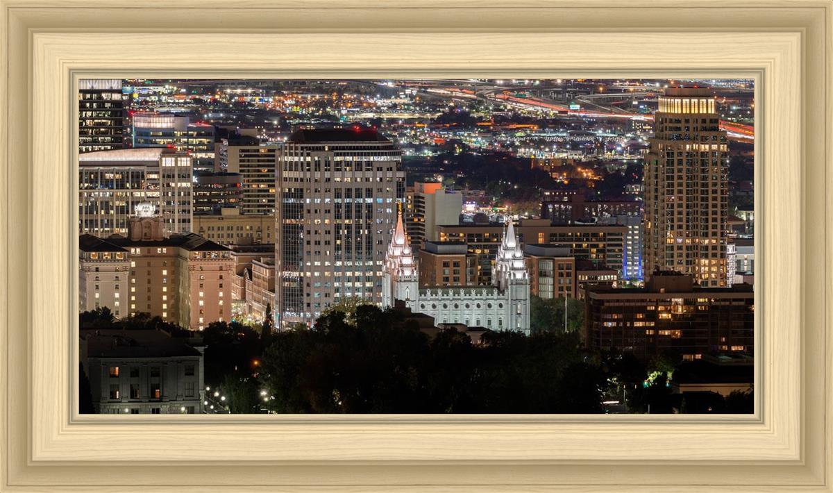 Salt Lake Temple City View