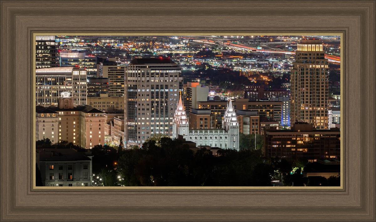 Salt Lake Temple City View
