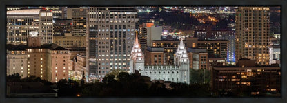 Salt Lake Temple City View
