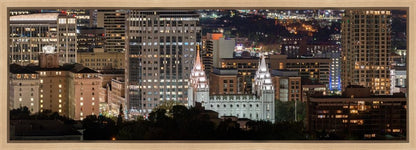 Salt Lake Temple City View