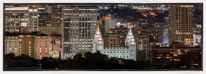Salt Lake Temple City View