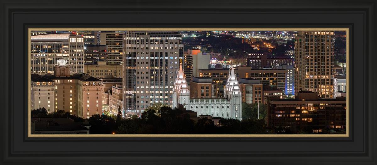 Salt Lake Temple City View