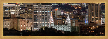 Salt Lake Temple City View