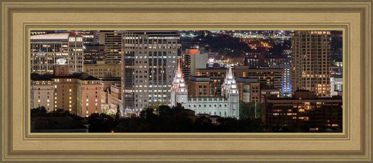 Salt Lake Temple City View