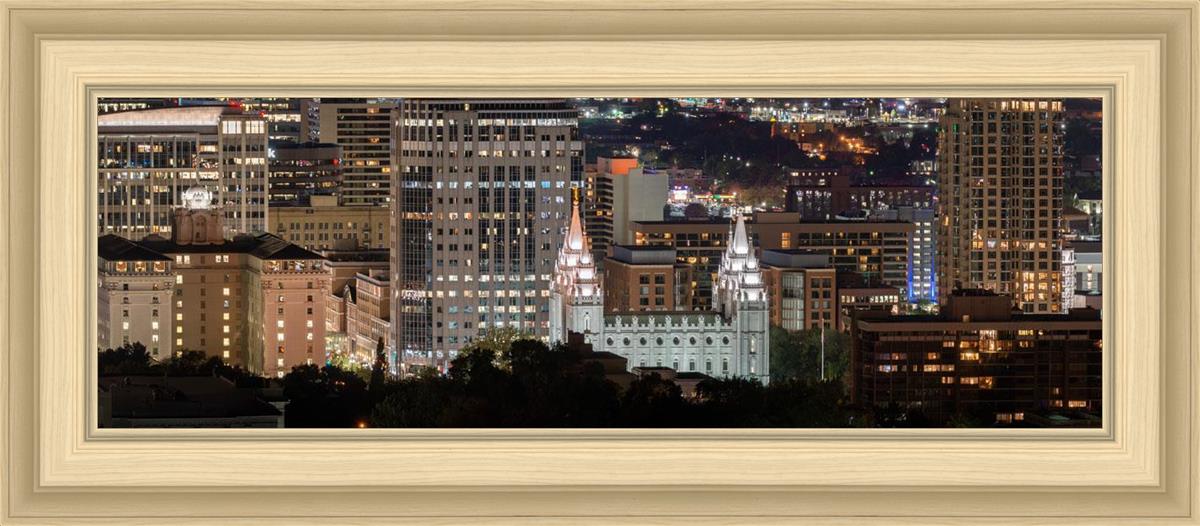 Salt Lake Temple City View