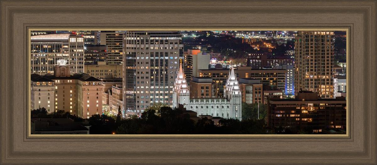 Salt Lake Temple City View
