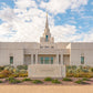 Phoenix Temple Desert Oasis