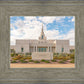 Phoenix Temple Desert Oasis
